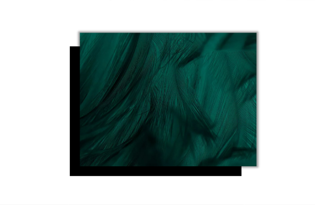 1661767379349604.jpg 8.jpg